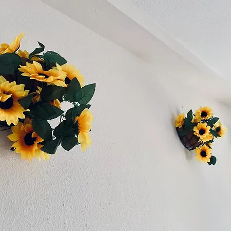 Ruz Apartment *